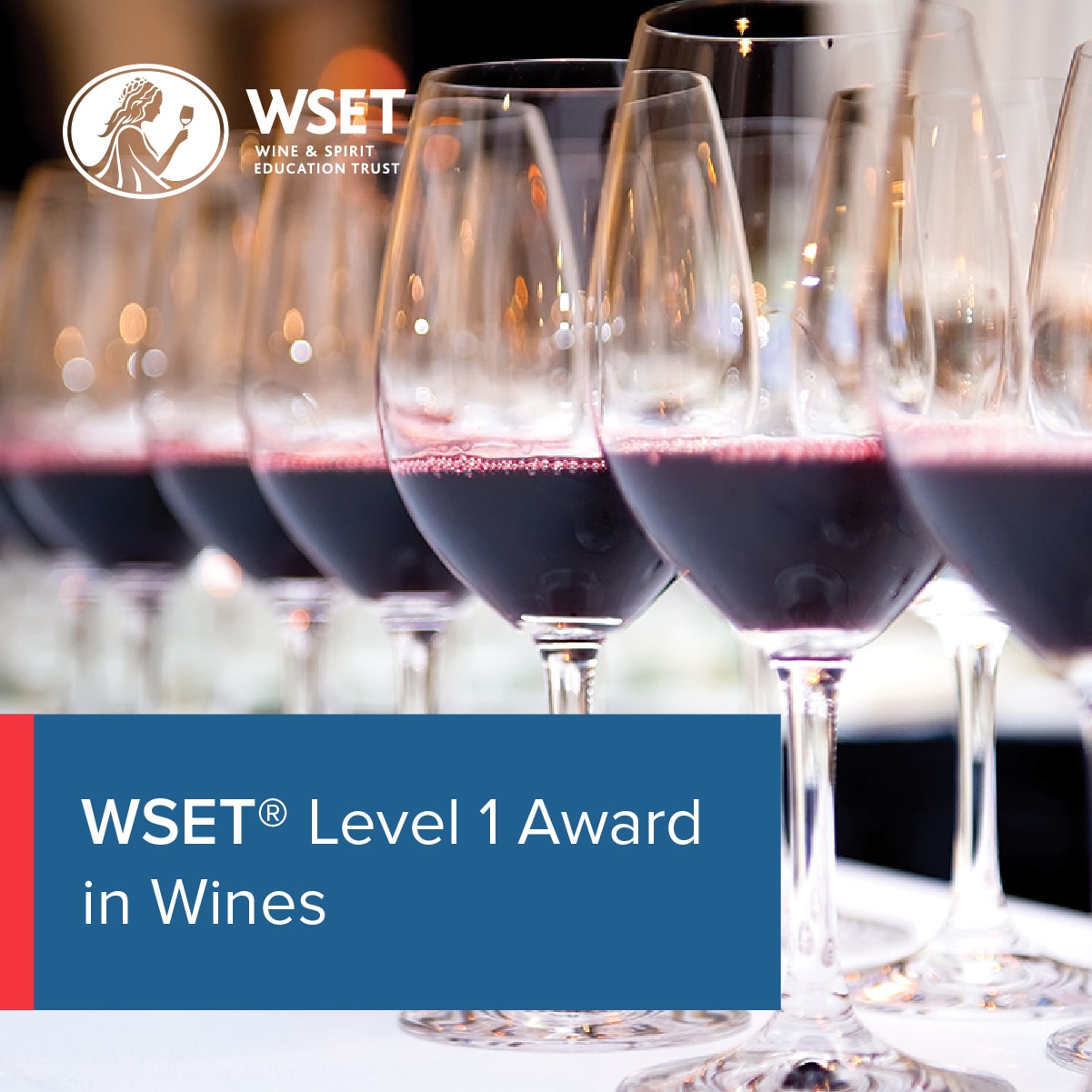 EN_Wines, Level 1 Award (1200x1200) (1)-min
