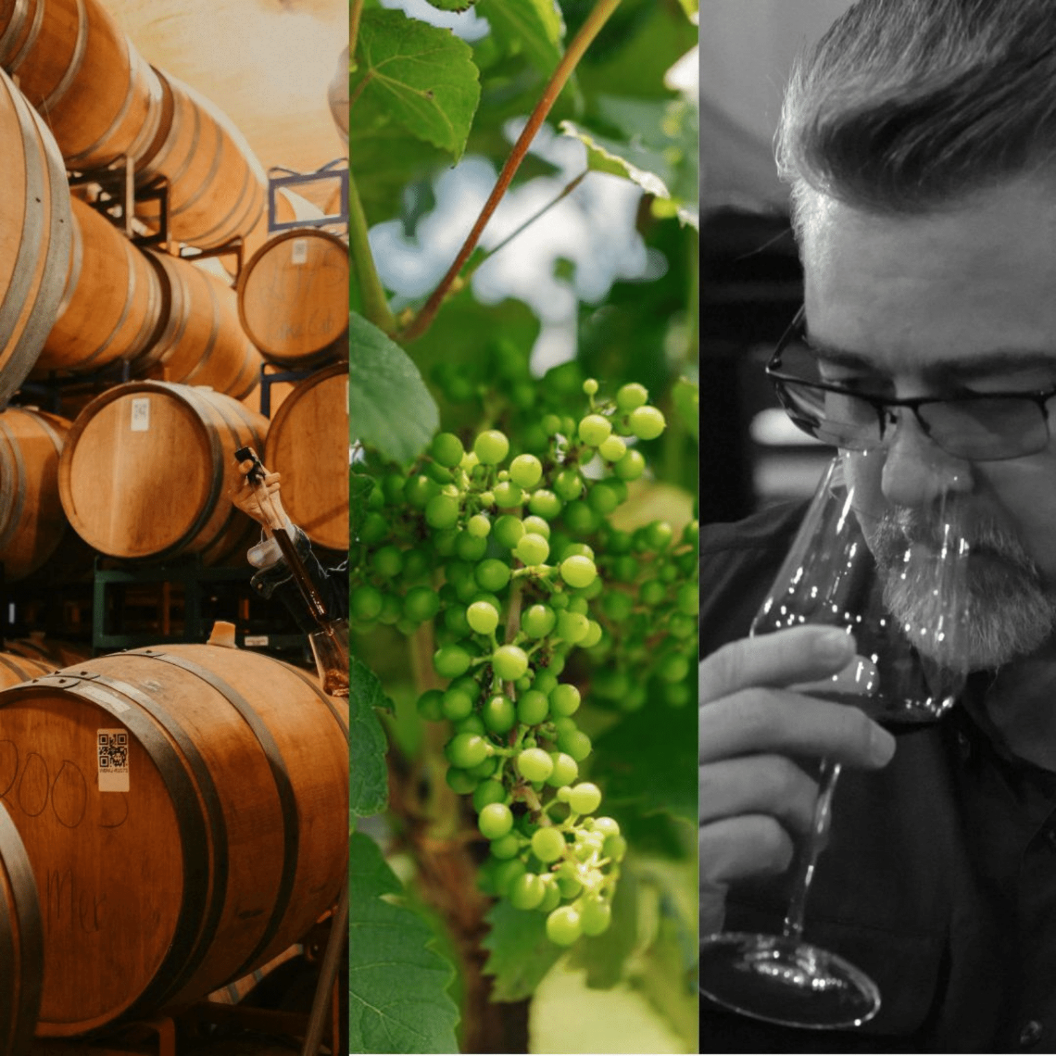 Courses & Certifications Hill Country Wine Academy