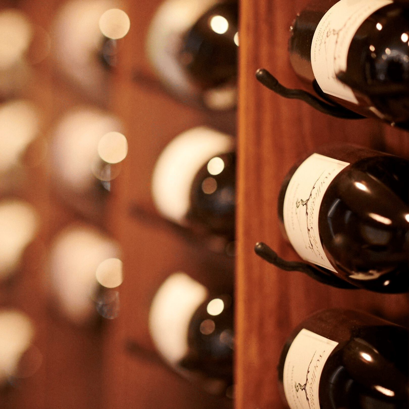 Courses & Certifications Hill Country Wine Academy